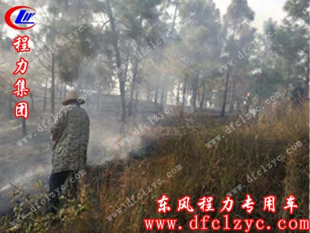 被大火蔓延后的山林