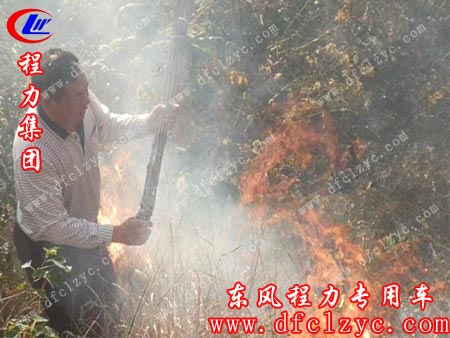 大家奮力滅火