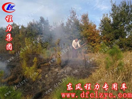 大火被撲滅